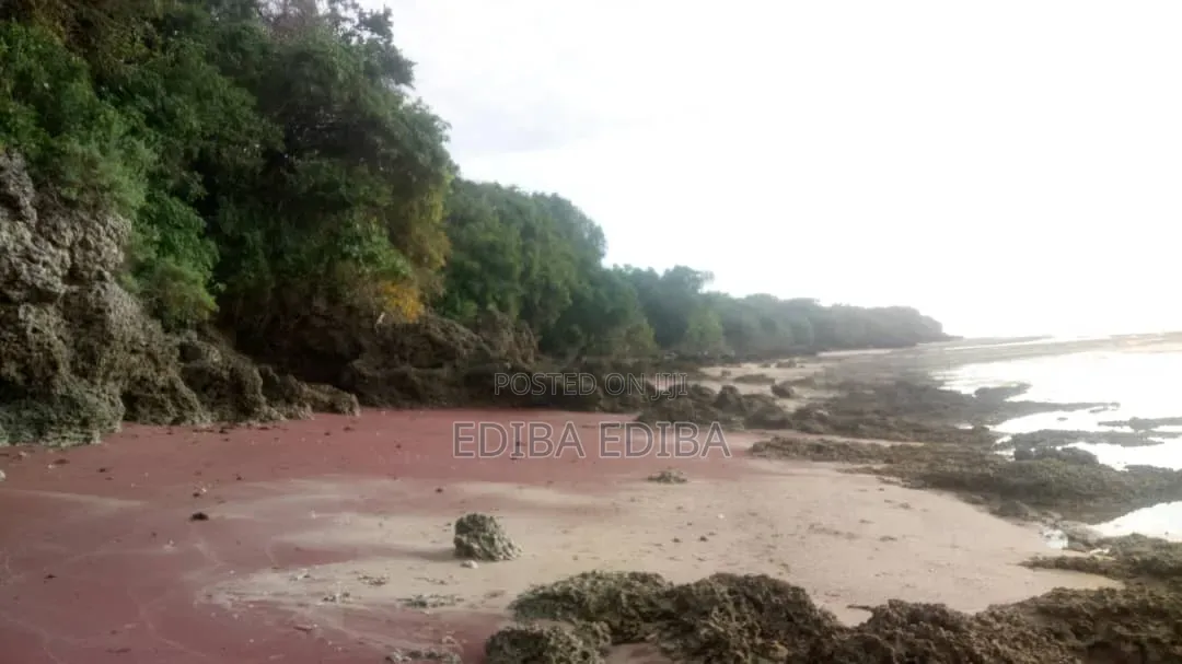 50 Acres Titled Beach Plot for Sale in Pangani Tanga