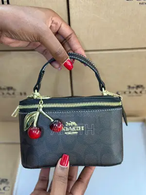 Coach Hand Bags