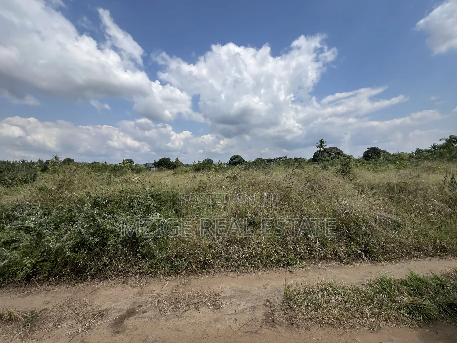137 Acres of Agriculture Farm for Sale in Mhaga, Kisarawe