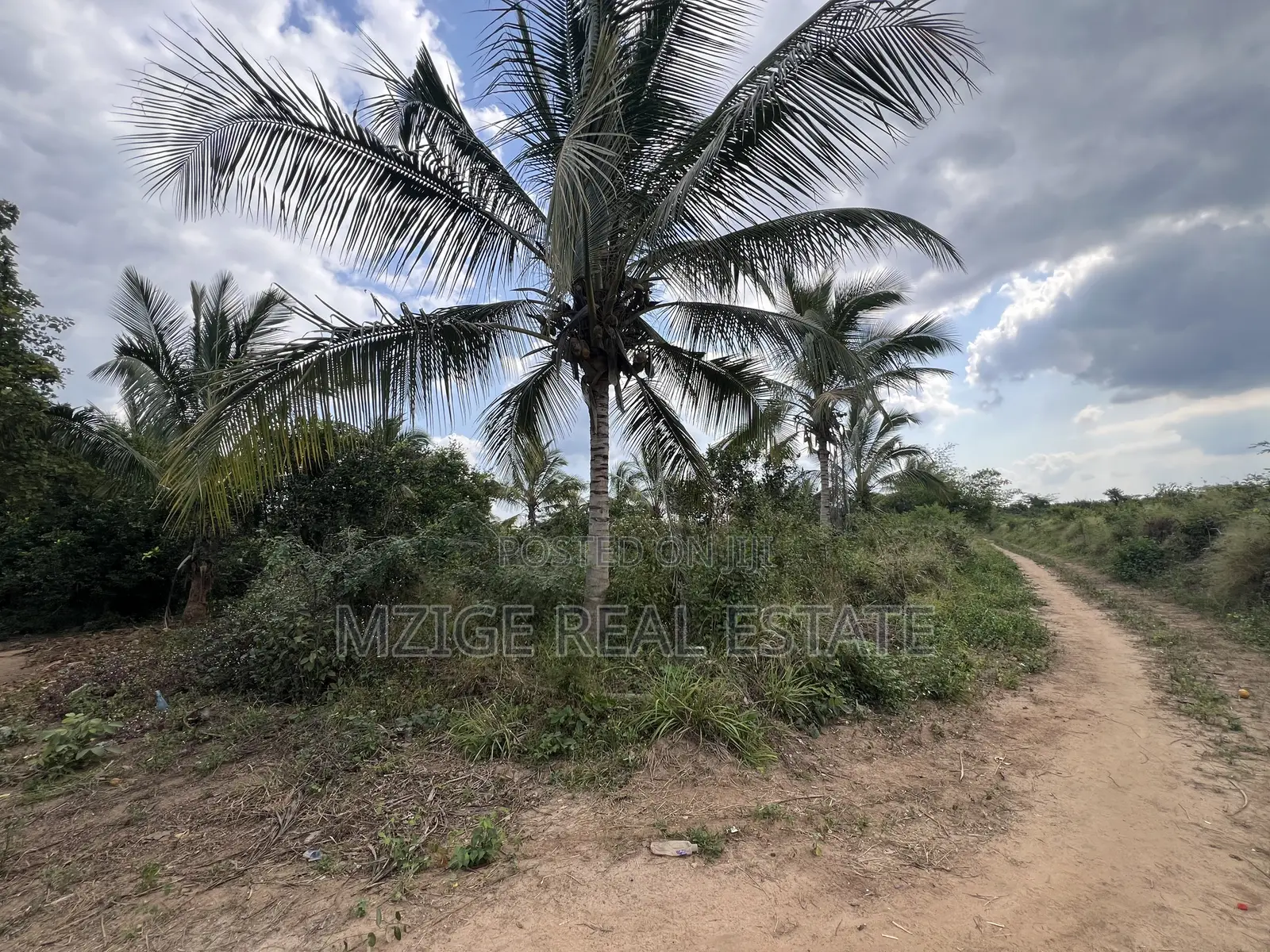 137 Acres of Agriculture Farm for Sale in Mhaga, Kisarawe