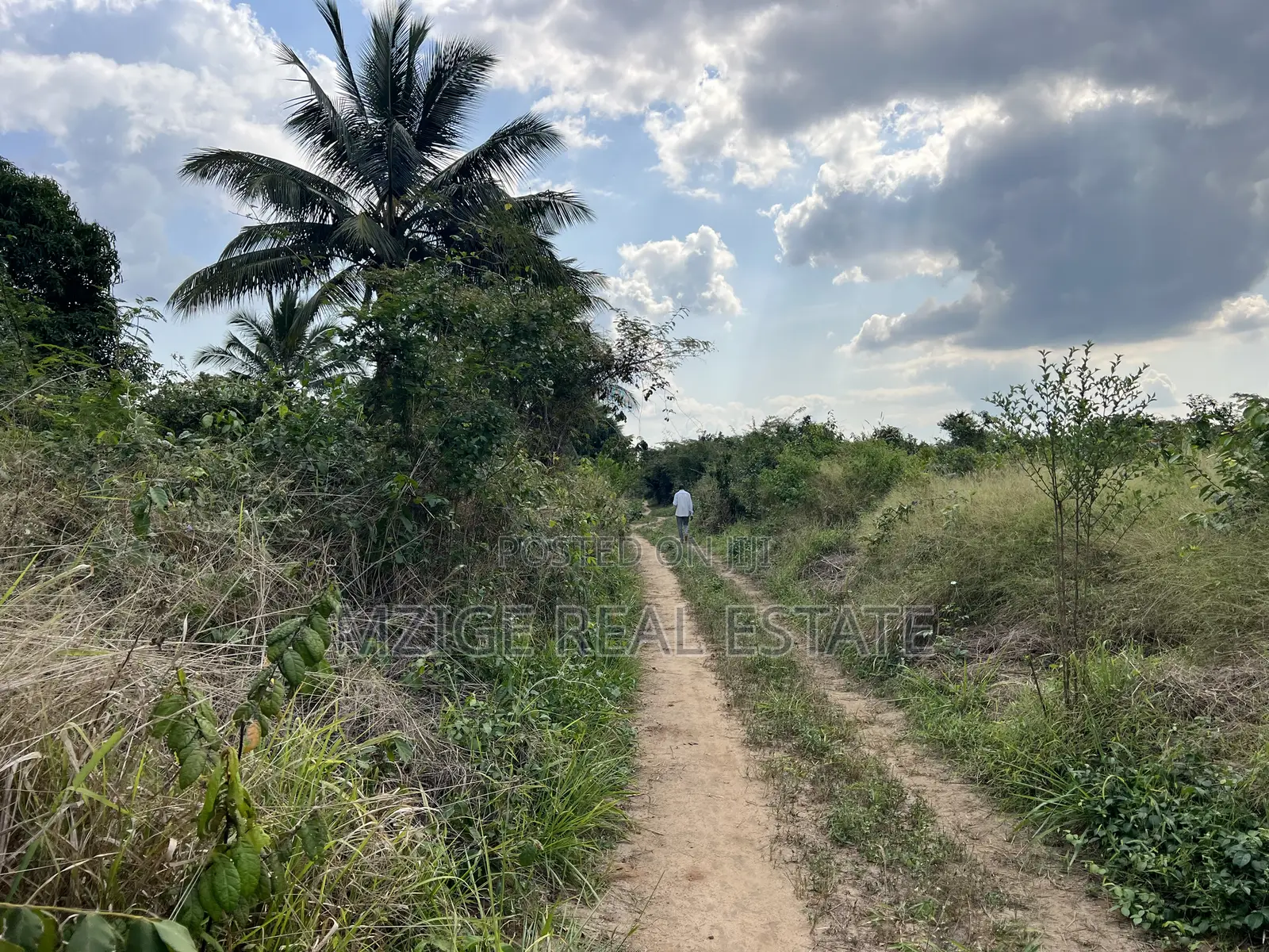 137 Acres of Agriculture Farm for Sale in Mhaga, Kisarawe