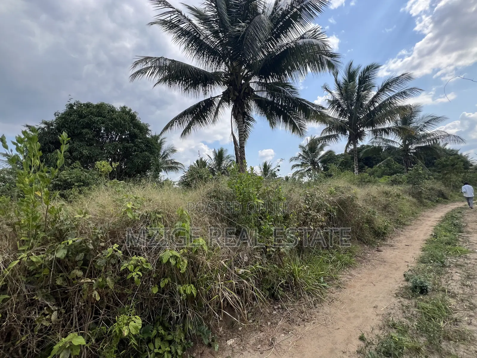 137 Acres of Agriculture Farm for Sale in Mhaga, Kisarawe