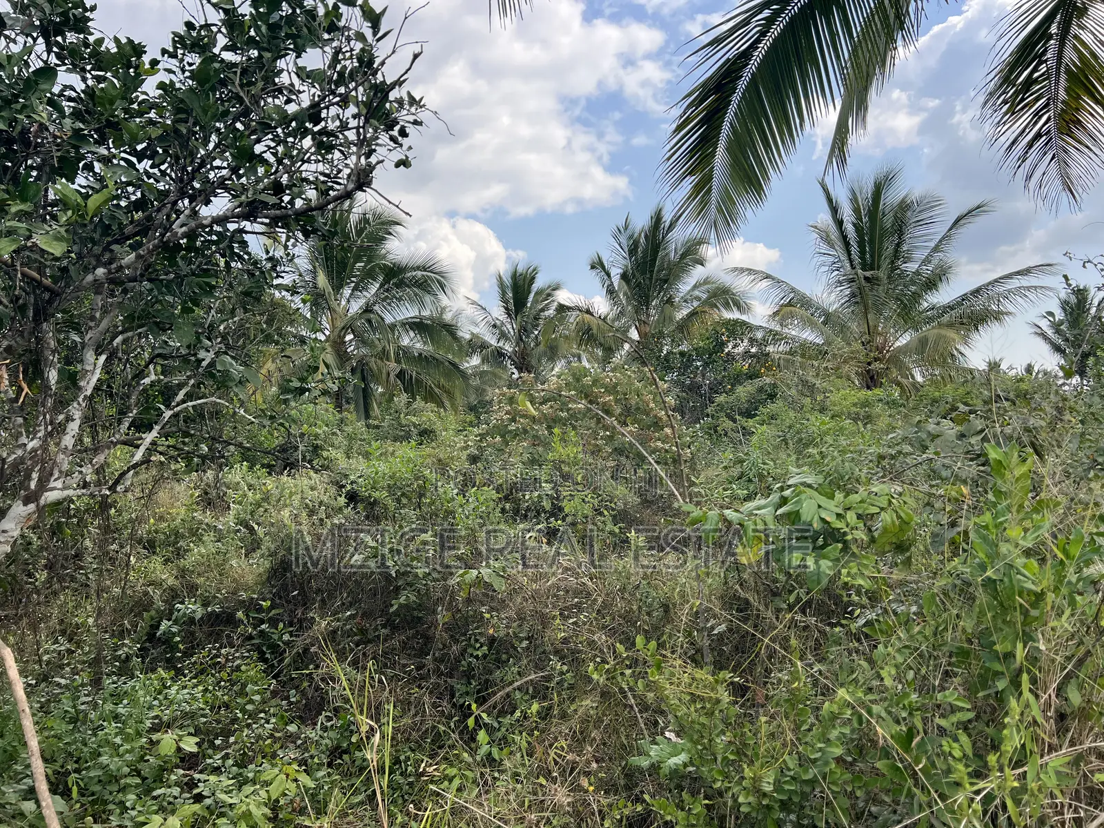 137 Acres of Agriculture Farm for Sale in Mhaga, Kisarawe