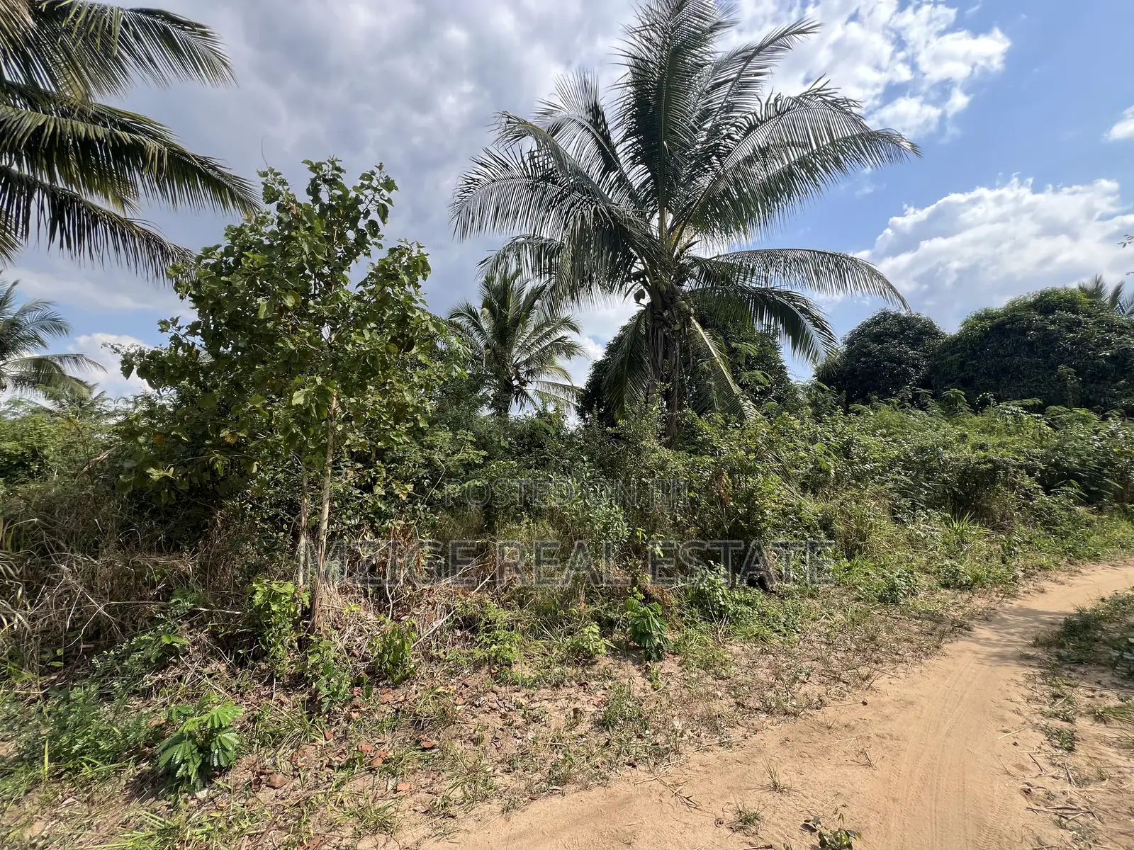 137 Acres of Agriculture Farm for Sale in Mhaga, Kisarawe