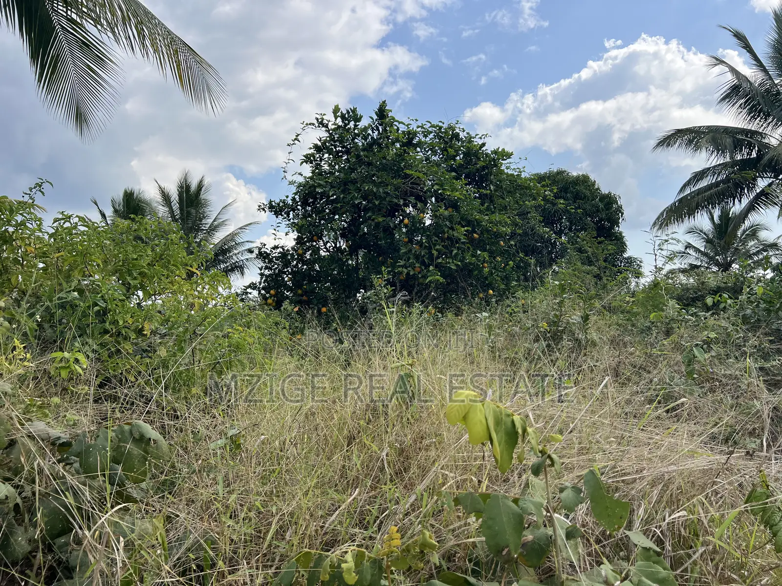 137 Acres of Agriculture Farm for Sale in Mhaga, Kisarawe