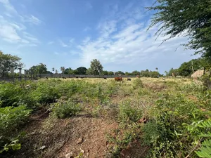8hector at Tanga Mwambani Investment Area