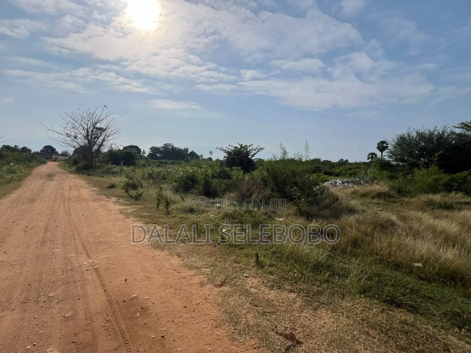 8hector at Tanga Mwambani Investment Area