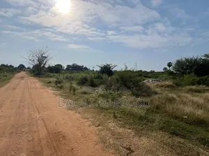 8hector at Tanga Mwambani Investment Area