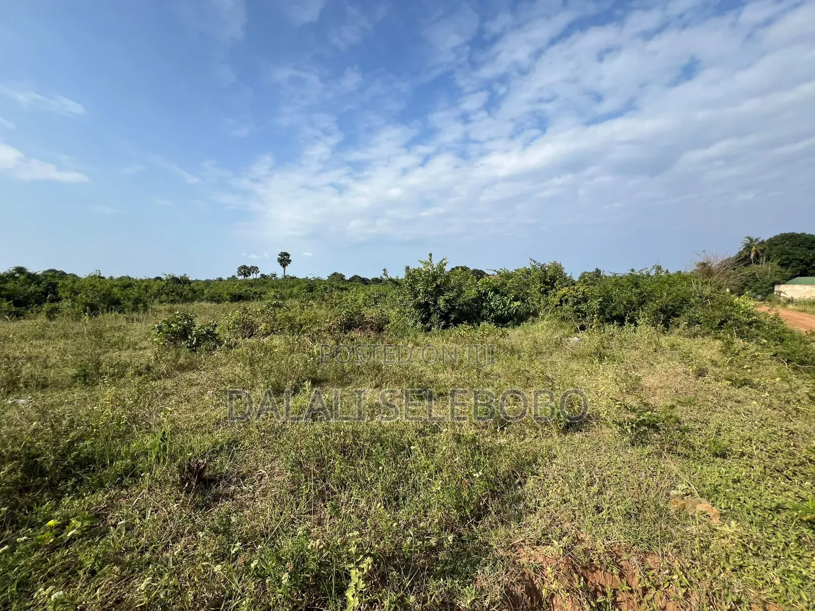 8hector at Tanga Mwambani Investment Area