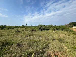 8hector at Tanga Mwambani Investment Area