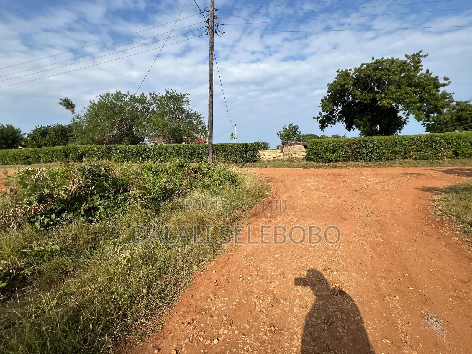 8hector at Tanga Mwambani Investment Area