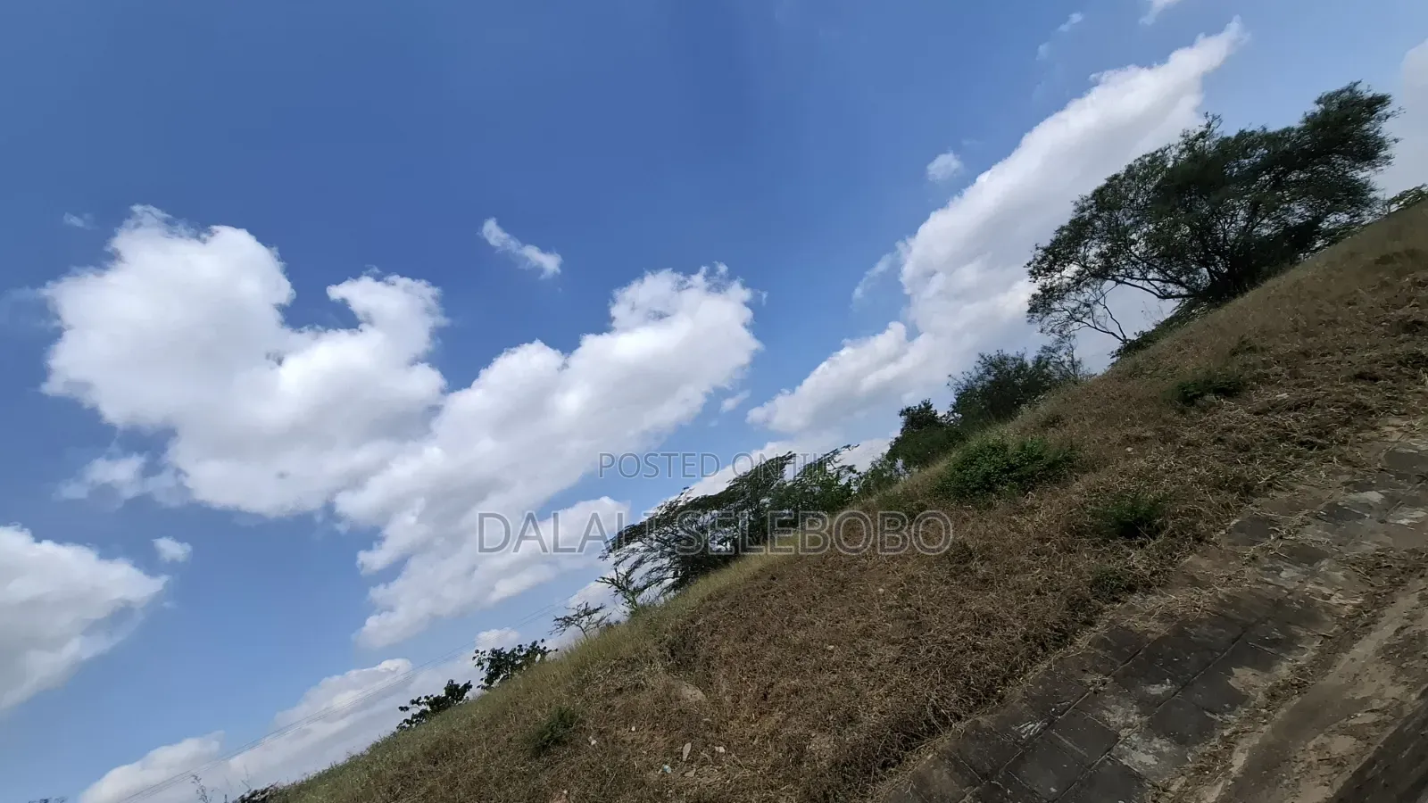 8hector at Tanga Mwambani Investment Area