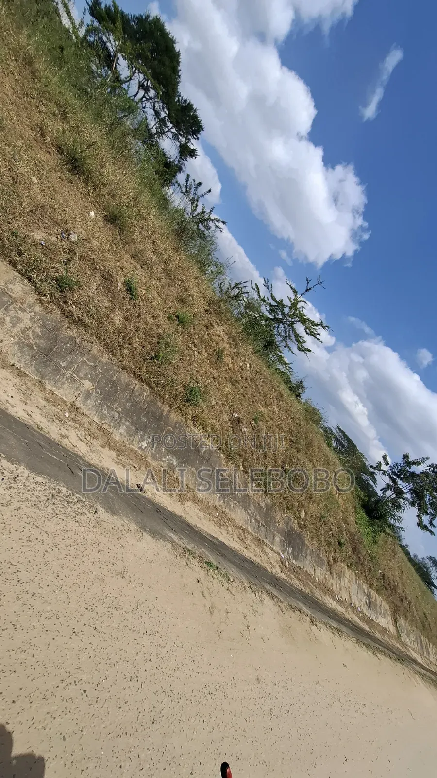 8hector at Tanga Mwambani Investment Area