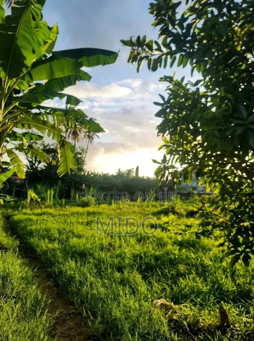 Kiwanja Kinauzwa,