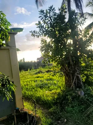 Kiwanja Kinauzwa,