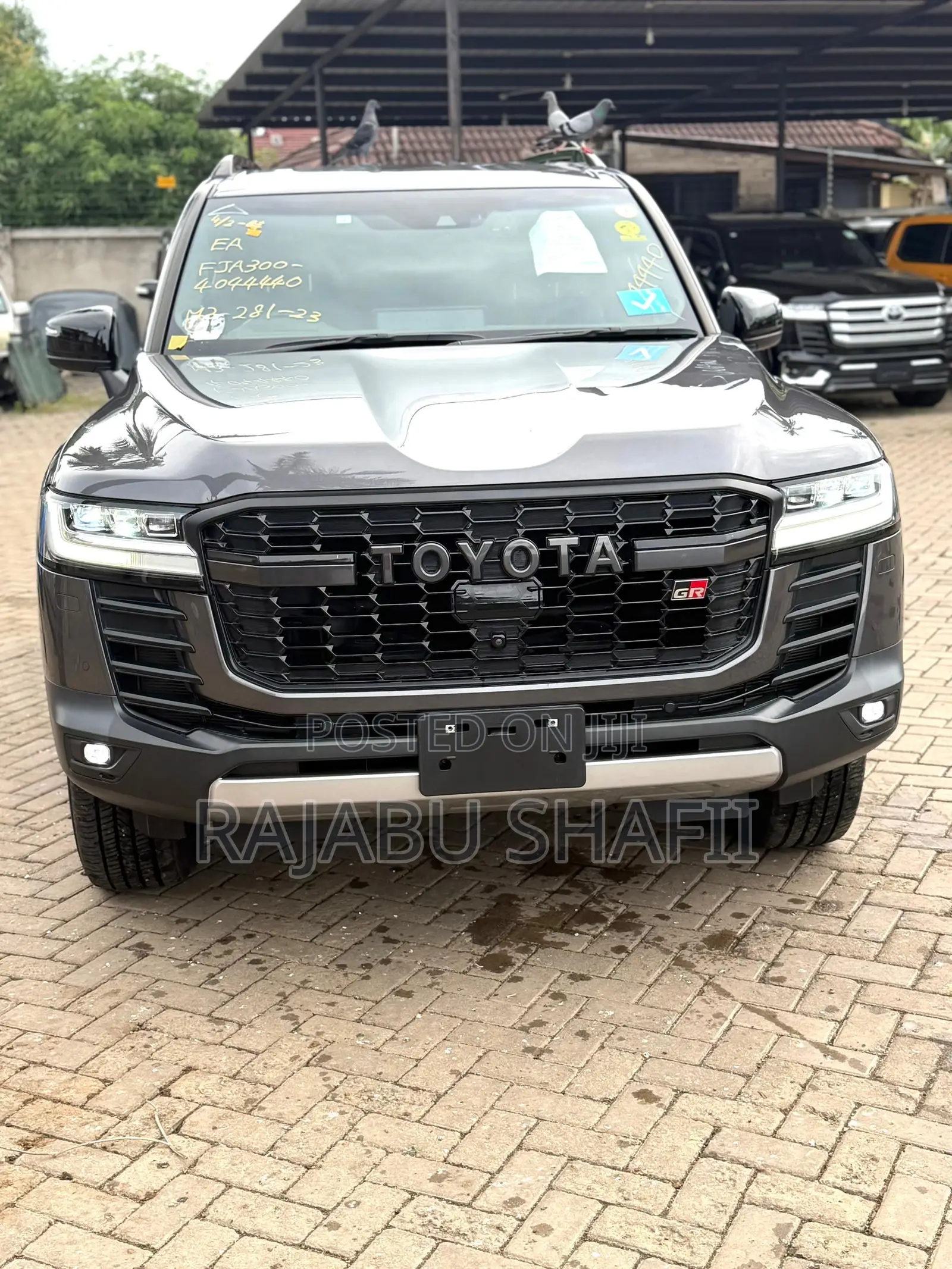 Toyota Land Cruiser LC300 2024 Gray
