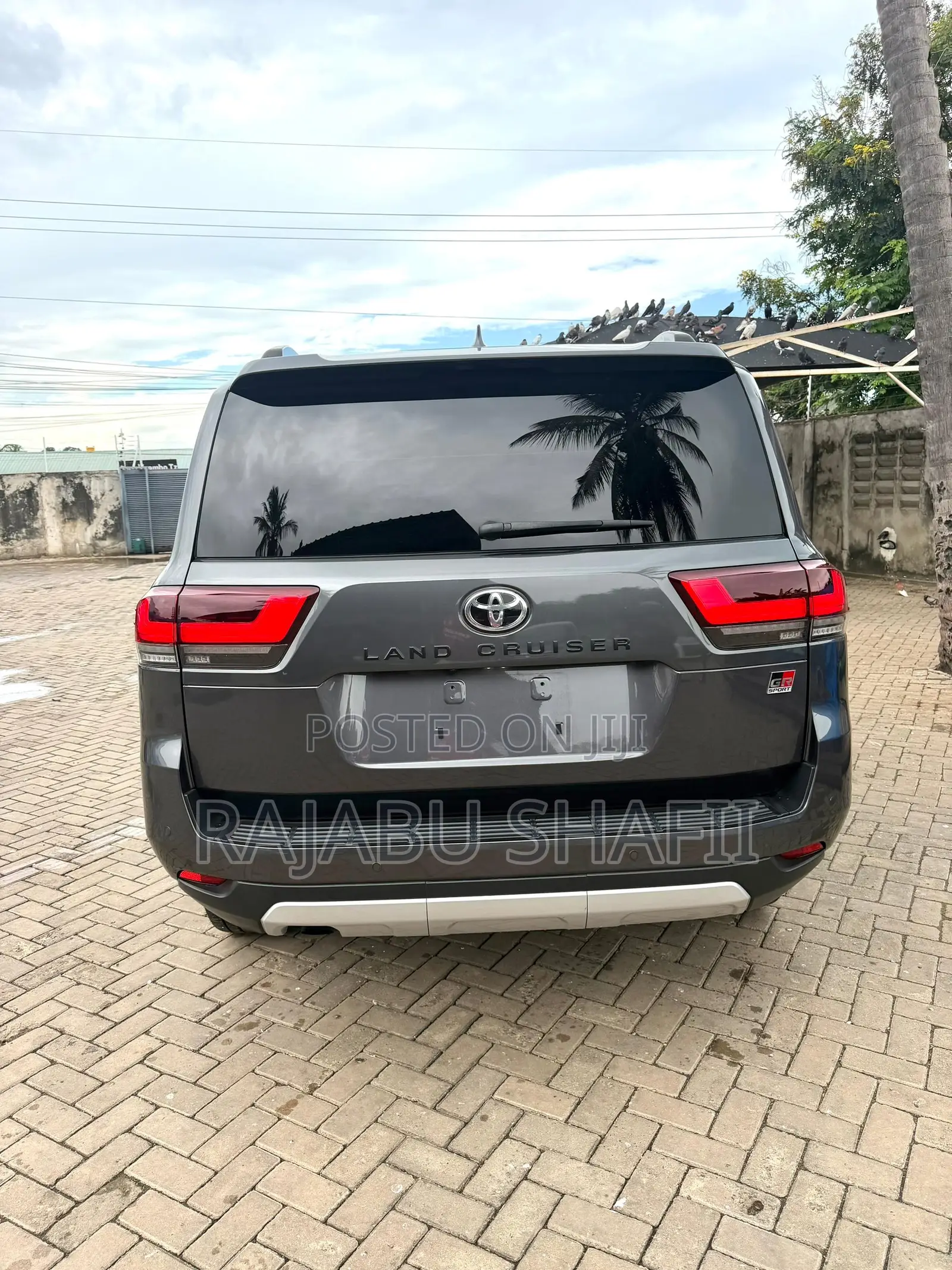 Toyota Land Cruiser LC300 2024 Gray