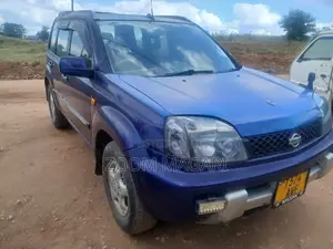 Nissan X-Trail 2005 Blue