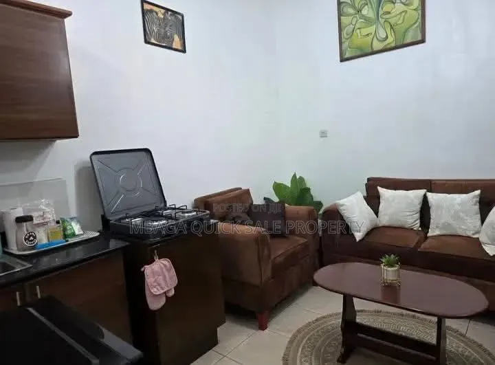 Furnished 1bdrm Duplex in Mikocheni for rent
