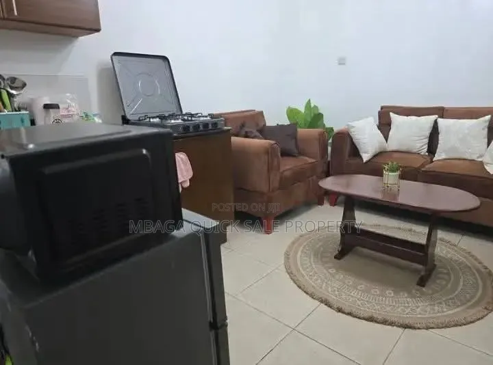 Furnished 1bdrm Duplex in Mikocheni for rent