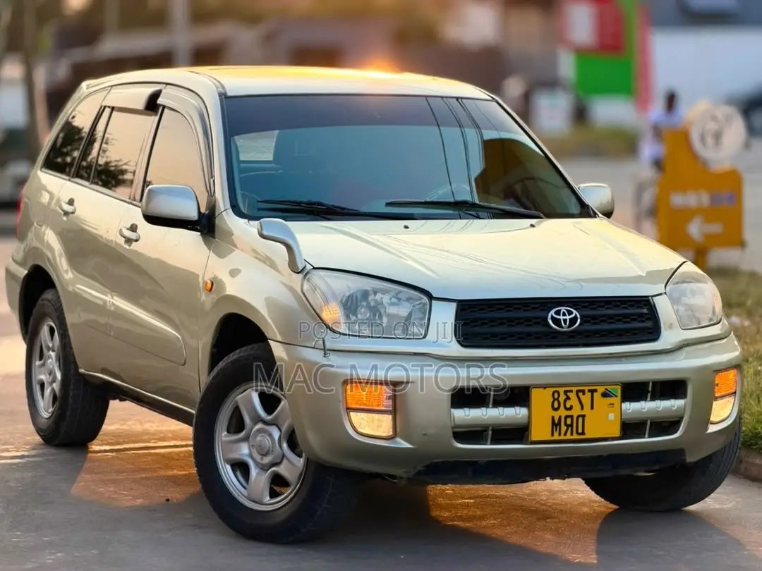 Toyota RAV4 Automatic 2003 Gold