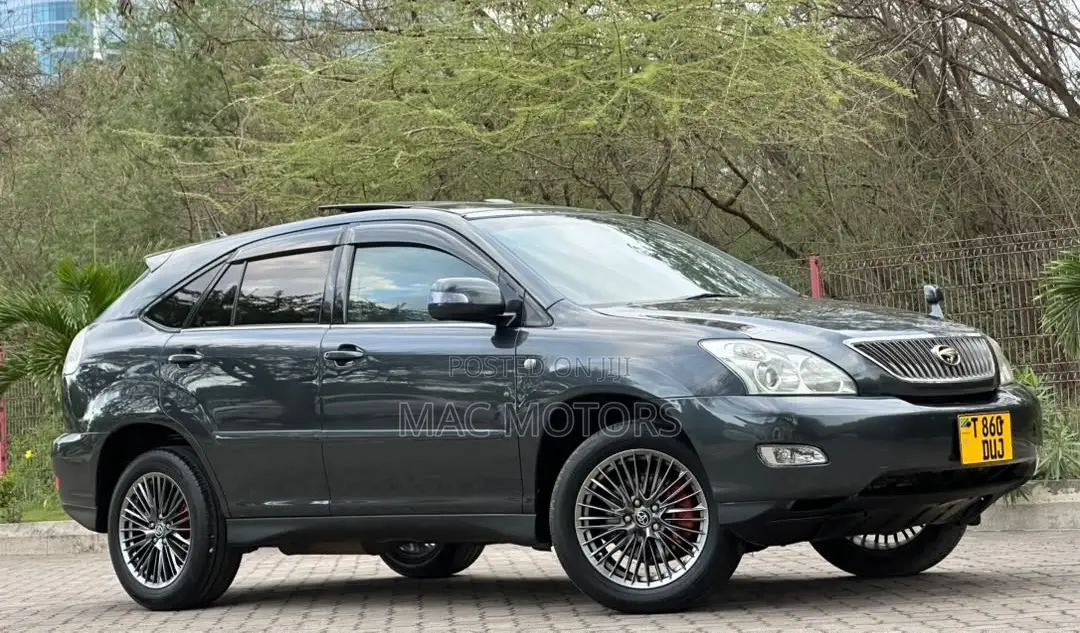Toyota Harrier 2006 Gray