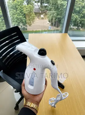 Handheld Facial $ Garment Steamer