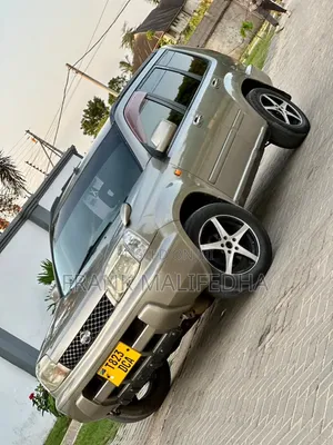 Nissan X-Trail 2008 Gray