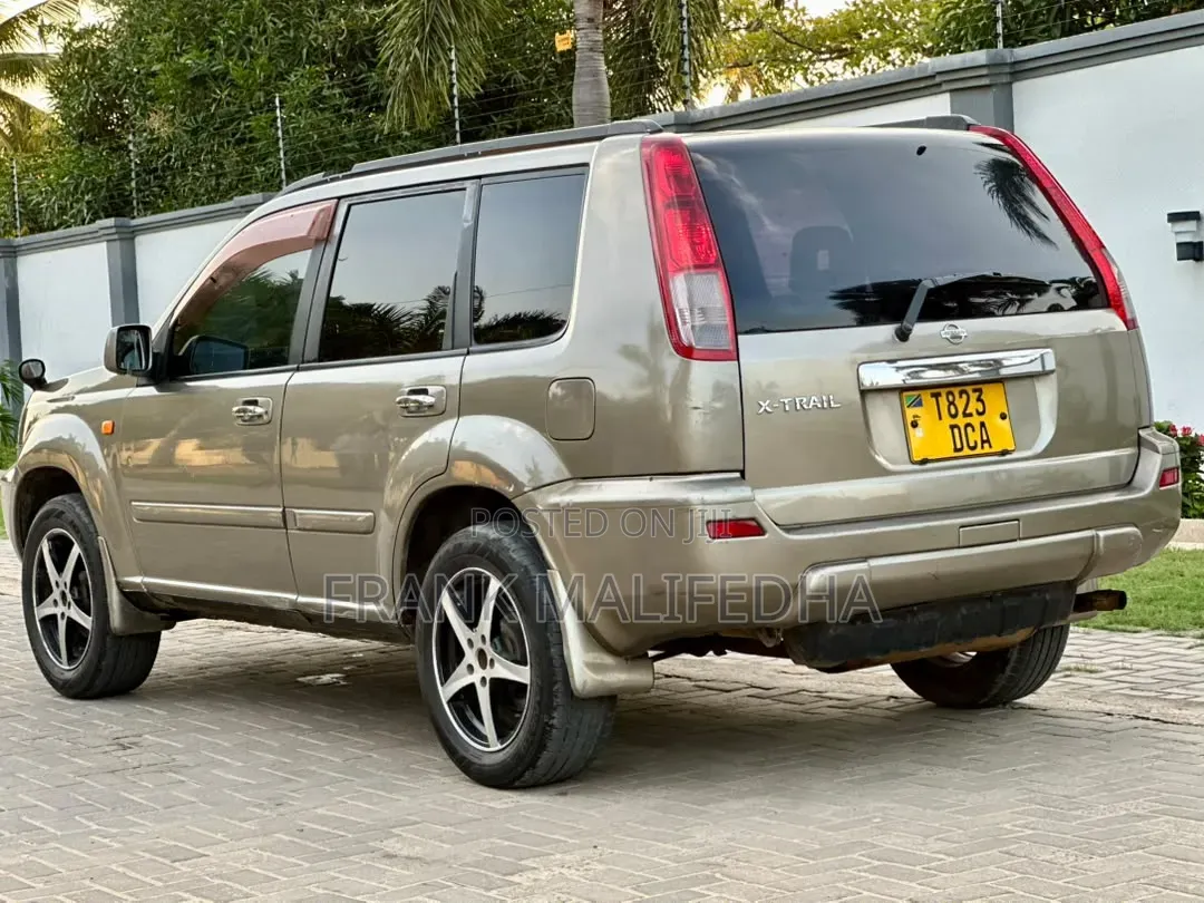 Nissan X-Trail 2008 Gray