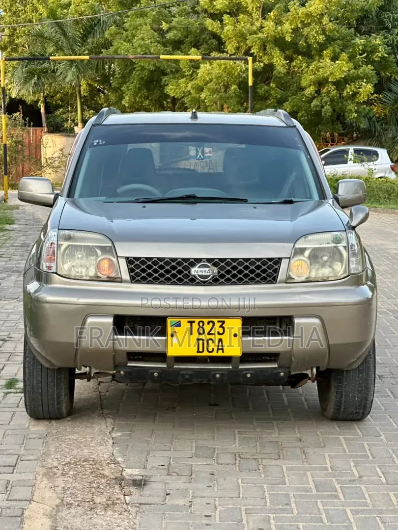 Nissan X-Trail 2008 Gray
