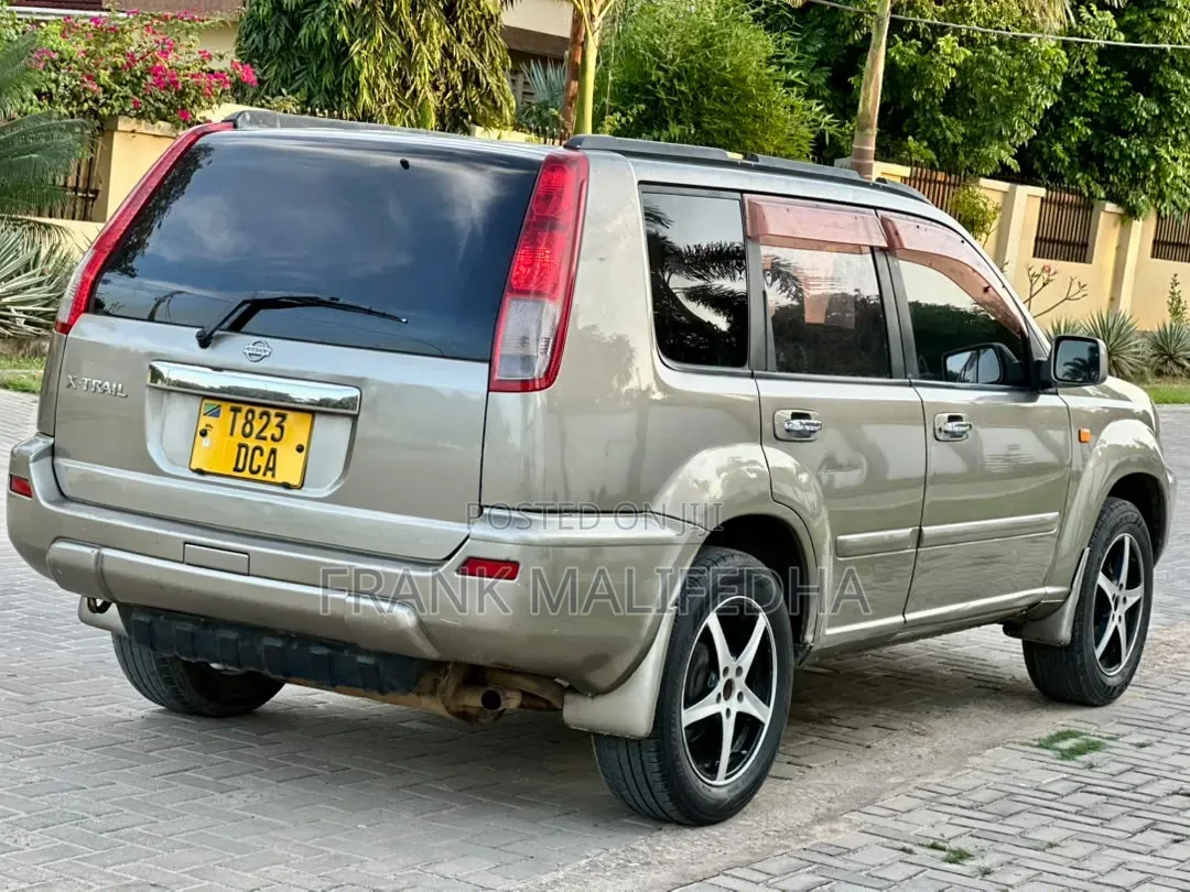 Nissan X-Trail 2008 Gray