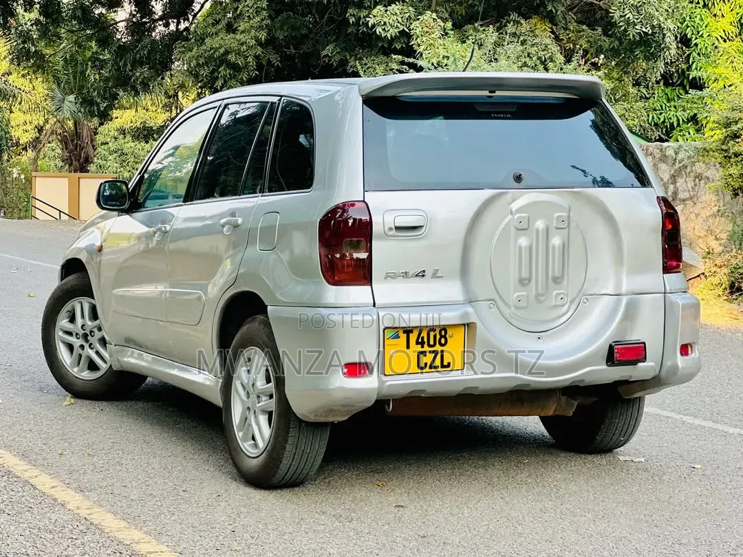 Toyota RAV4 2004 Silver