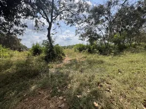 Eneo La Ekari 145.84 Maweni Industrial Area Zinauzwa Tanga