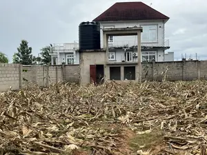 Eneo La Ekari Moja Linazuwa Kigamboni, Kibada Shangwe