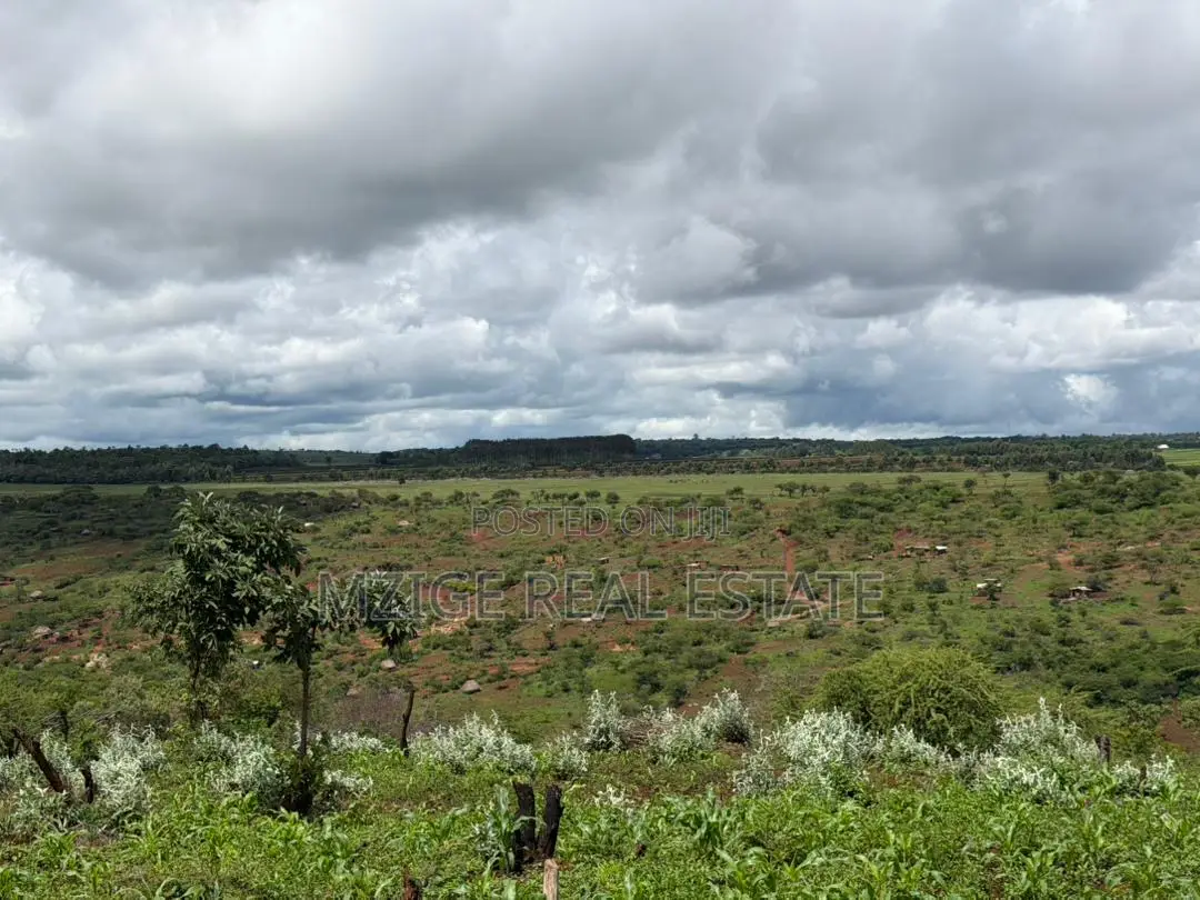 Prime 20-Acre Investment Plot in Karatu – Overlooking Ngorongoro Rim