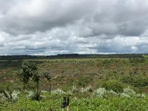 Prime 20-Acre Investment Plot in Karatu – Overlooking Ngorongoro Rim