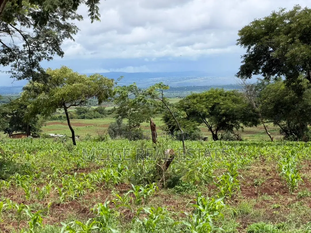 Prime 20-Acre Investment Plot in Karatu – Overlooking Ngorongoro Rim