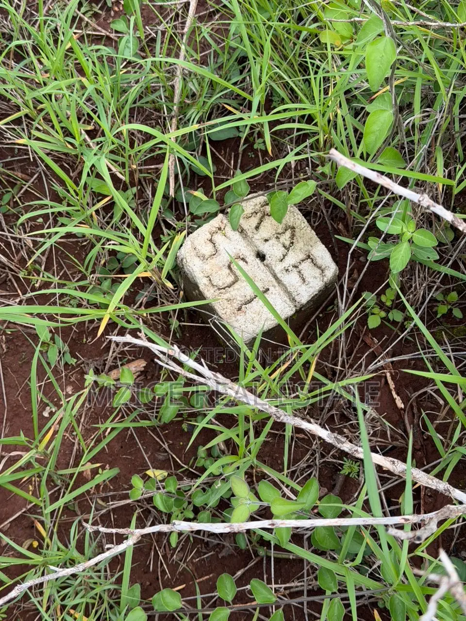Prime 20-Acre Investment Plot in Karatu – Overlooking Ngorongoro Rim