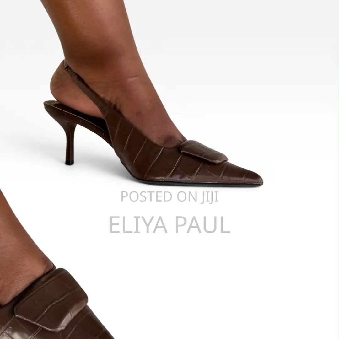 Zara Pointed Slingback