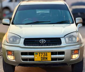 Toyota RAV4 2005 Gold