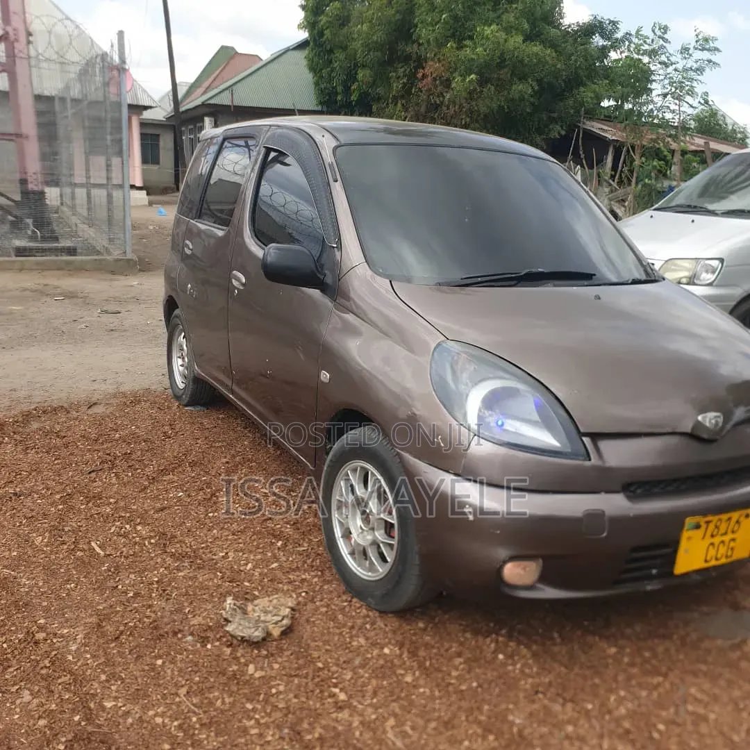 Toyota Fun Cargo 2004 Gray