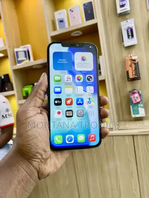 Apple iPhone 12 Pro Max 256 GB
