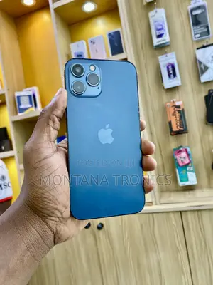 Apple iPhone 12 Pro Max 256 GB