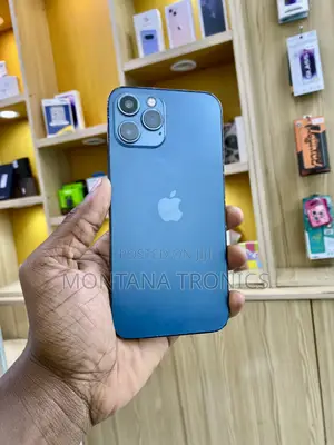 Apple iPhone 12 Pro Max 256 GB