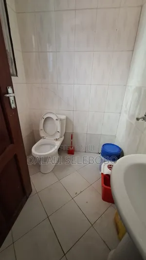 Mini Flat in Makumbusho Bus Stop, Kijitonyama for rent