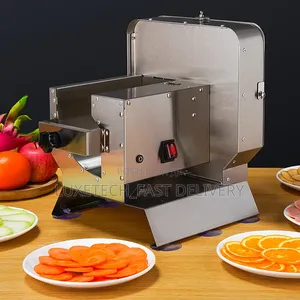 Commercial Electric and Manual Vegetable Slicer – Stainless Steel