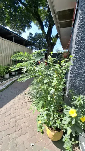 Studio Apartment in Kinondoni Kwa Pinda for rent