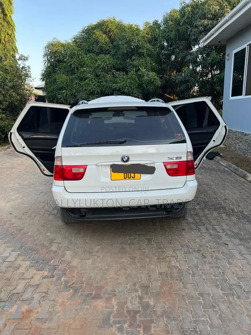 BMW X5 2008 White