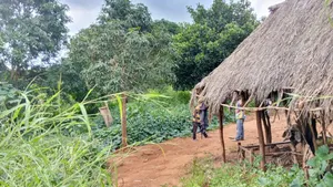 Shamba Linauzwa Mbwewe Chalinze Mkoa Wa Pwani