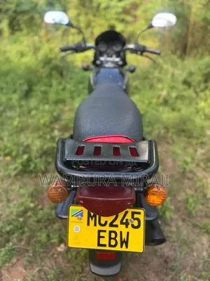 New Bajaj 2025 Pink